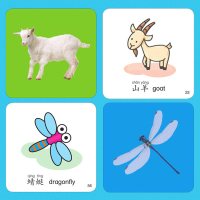 阳光宝贝撕不烂涂鸦认知卡英语字母 婴幼儿认知启蒙卡片 宝宝看图识物大卡0-1-3岁孩子益智涂色填色简笔画儿童翻翻书早教