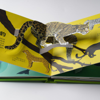 儿童绘本立体书10组立体造型珍稀动物 3-4-5-6岁宝宝撕不烂翻翻书 幼儿早教书籍大班适合六周岁以上情景体验认知书籍