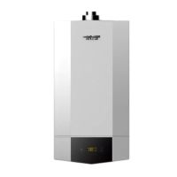 A.O.史密斯 L1PB26-A1 采暖热水两用炉