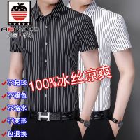 爱曼普正品短袖衬衫男士高档帅气条纹冰丝衬衣潮流免烫大码寸衫
