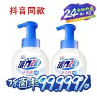 A40-258g(蓝色杀菌型)X2瓶 罗永浩推荐活力28洗手液70年国货洗手泡