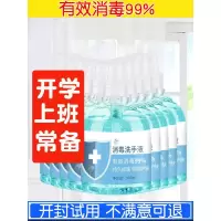 消毒抑菌洗手液[1瓶装] 疫情专用洗手液杀菌消毒健康家用学校公司儿童泡沫清洁洗手液