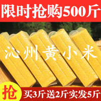 沁州黄杂粮小米黄小米糊旱地黄小米黄小米婴儿米脂洲粗粮耕山西