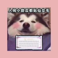 自然纤长款 8mm 众多博主强烈推荐!梦鹿A型假睫毛芭比娃娃仙女款仙子毛单簇朵毛