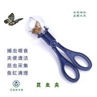 昆虫夹 捕虫夹 小蜜蜂钳刘海一字横 标本采集器材 推荐