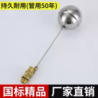 DN15(4分)浮球阀 4分6分开水器浮球阀蒸饭柜浮球进水阀水位开关不锈钢球阀配件热水