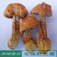 精选姬松茸干货 巴西蘑菇云南丽江土特产野生菌 煲汤好100克