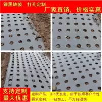 黑膜定做十卷起做联系客服 1m 1m 打孔地膜农用种植带孔农膜地膜反光地膜大棚塑料玉米蔬菜大葱地膜