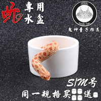 中号(M) 玩具蛇专用水盆爬宠玉米蛇猪鼻蛇无菌陶瓷泡澡水盆