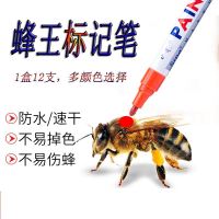 自选3种颜色(默认发红色) 蜂王记号笔蜜蜂标记笔防水不易掉色修车用白色粗头大号养蜂用工具