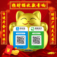 金色X5[蓝牙连接] 手机不在也能播报 套餐一 微信收钱蓝牙音响招财猫收款扫码提示音箱二维码收付款语音播报器