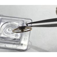 手表维修工具 镊子 移除夹板摆轮游丝镊子2824机芯等卡簧式摆轮