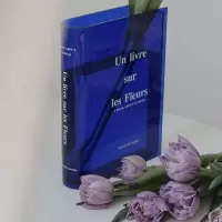 蓝色 书籍亚克力花瓶花器家居装饰品北欧简约客厅家居装饰品桌面摆件