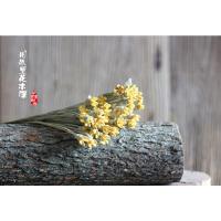 [紫薇花]-黄色 12只1束 干花包 紫薇花植物组合黄色开心果花干花家居摆设拍摄道具花束客厅摆设