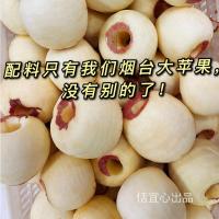 苹果脯250g*1袋 糯叽叽艮啾啾的苹果脯~倒蒸烘干原汁原味 果脯烟