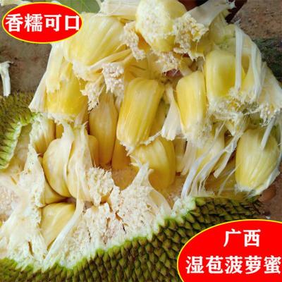 4000g 6--7斤 广西湿苞菠萝蜜湿苞木菠萝大树菠萝蜜榴莲菠萝蜜应季孕妇应季水果