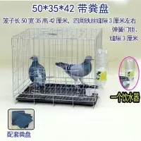 50*35*42带粪盘 大号加粗鸽子用品用具12位16位养殖鸽子笼信鸽配对笼肉鸽繁殖笼子