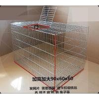 折叠35带托盘 鸽子笼养殖笼特大号家用鸡笼配对笼鸽子笼兔笼鸟笼子鸽子笼子大号