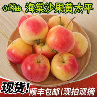 2斤 60mm以下 东北特产沙果海棠果5斤箱现摘黄太平小苹果孕妇应季鲜水果酸甜