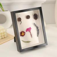黑色框(不含标本)送热熔胶+卡纸 方形外框-15x15cm 干花展示盒蝴蝶标本展示框标本展示盒鲜花保存相框A4A3手工干