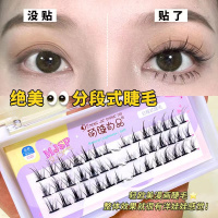 浓密款 0mm 萌睫尚品C08小恶魔漫画睫毛分段式假睫毛自然嫁接重复使用已剪好