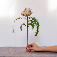 仿真花朝鲜蓟(紫黄色) 掬涵仿真花朝鲜蓟装饰假花果实花艺干花摆件复古客厅餐桌插花婚庆
