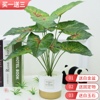45厘米12叶红心彩芋连白金盆 北欧仿真植物旅人蕉客厅装饰摆件绿植龟背盆景室内大型假花假盆栽
