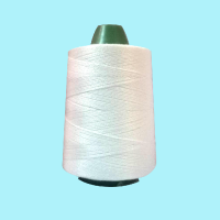 白色0.6豪米(600米) 包粽子的粽线 1mm包粽子线 粽线 粽子线 嘉兴粽子线 彩色粽子线