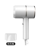 靓白色[500W]小风力 体验款 德系吹风机家用大功率学生宿舍静音蓝光负离子护发便携电吹风速干