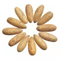 千眼菩提2个[无赠品] 千眼菩提原籽成品手串大果手把件挂件三通配饰项链绳树苗原籽原料