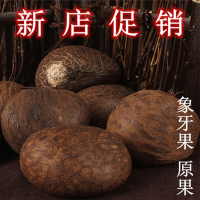 中果四颗 天然象牙果原果扳指毛坯面包圈料手球配对藕片半成品原籽实心原料