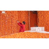 白霜为正常现象,收到冷冻保存 山东日式云门山枯露柿爆浆流心霜降农家吊柿饼独立包装年货礼盒