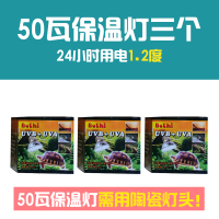 3个50瓦保温灯 卢丁鸡取暖灯发热保温灯芦丁鸡加热灯养殖专用烤灯宠物小鸡育雏灯