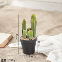 新款迷你仙人球小 仿真绿植仙人柱大型仙人掌盆栽假植物客厅家居室内装饰落地摆件