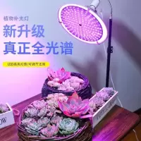 落地灯架 ^| 多肉植物专用补光灯能架生长全谱泡射卤素上色快速太阳能小型照