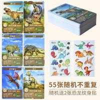 55张随机不重复 送恐龙纹身贴 恐龙卡片100张撕不烂儿童闪卡收集册 幼儿认知早教小孩霸王龙玩具