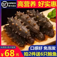 250g 20-30只 鲜海参 即食福建海参250g 500g鲜活冷冻辽参大连野生刺参礼盒特价