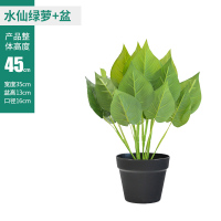 水仙绿萝+黑纱盆 北欧仿真植物天堂鸟芭蕉树旅人蕉龟背叶假树大型高档绿植盆栽盆景