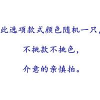 一对价格 颜色随机 20cm坐高16cm放车头偏小 婚车熊公仔车头装饰情侣婚纱熊一对婚庆娃娃花车小熊批结婚礼物
