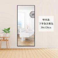 30*120cm(备注颜色)壁挂无支 其他 否 穿衣镜全身落地镜家居镜卧室镜子组合折叠化妆简约挂墙是大学寝室