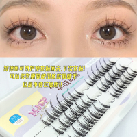 交叉款 11mm 三步贴出漫画大眼!假睫毛分段式小恶魔cos单簇 嫁接仙子毛女自然
