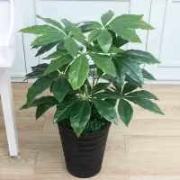 12叶七香发财+盆+草 假塑料发财树仿真盆栽客厅摆件绿植大型落地招财假花摆设仿生植物
