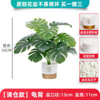 青色 50cm龟背 大型北欧ins风仿真绿植旅人蕉天堂鸟客厅落地假盆栽景植物摆件树