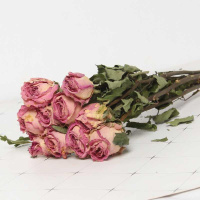 大桃红 10枝 干树枝 玫瑰干花花束花干花包家居插摆设摆件花束干花干花花瓣干树枝