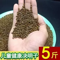 5斤决明子[枕芯用,玩沙用] 抛光.干净.除尘 儿童决明子玩具沙池套装家用散装枕芯装宝宝沙滩玩沙子大颗粒室内