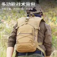 黑色 户外登山包旅游男女双肩背包旅行包大容量徒步战术通勤加宽肩带