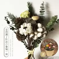 干花松果2022客厅干花高级感仿真花高端轻奢棉花尤加利叶北欧风