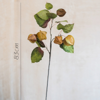 非洲菇茑一支 掬涵非洲菇茑仿真花 绿植果实装饰花艺插花摆件 秋色复古艺术