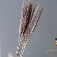 粗芦苇10支 长60cm 小 田园壁挂花篮吊篮 竹编挂篮 家居收纳装饰花篮绿植花盆干花小花篮