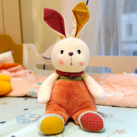 兔子 约23厘米 可爱暖阳兔子公仔毛绒玩具安抚儿童睡觉小熊玩偶娃娃女孩生日礼物